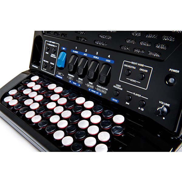 ROLAND FR-1XB BK V-Accordion - Butonlu Dijital Akordiyon (Siyah)